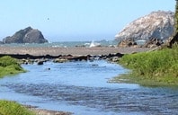 Coastal river scene with rocky outcrops near Smith River