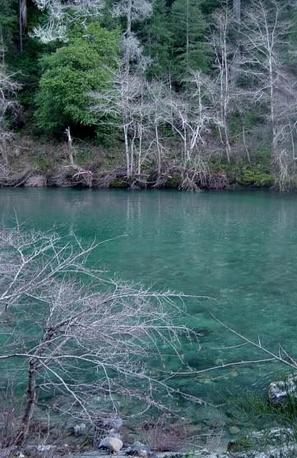 River fishing in Northern California