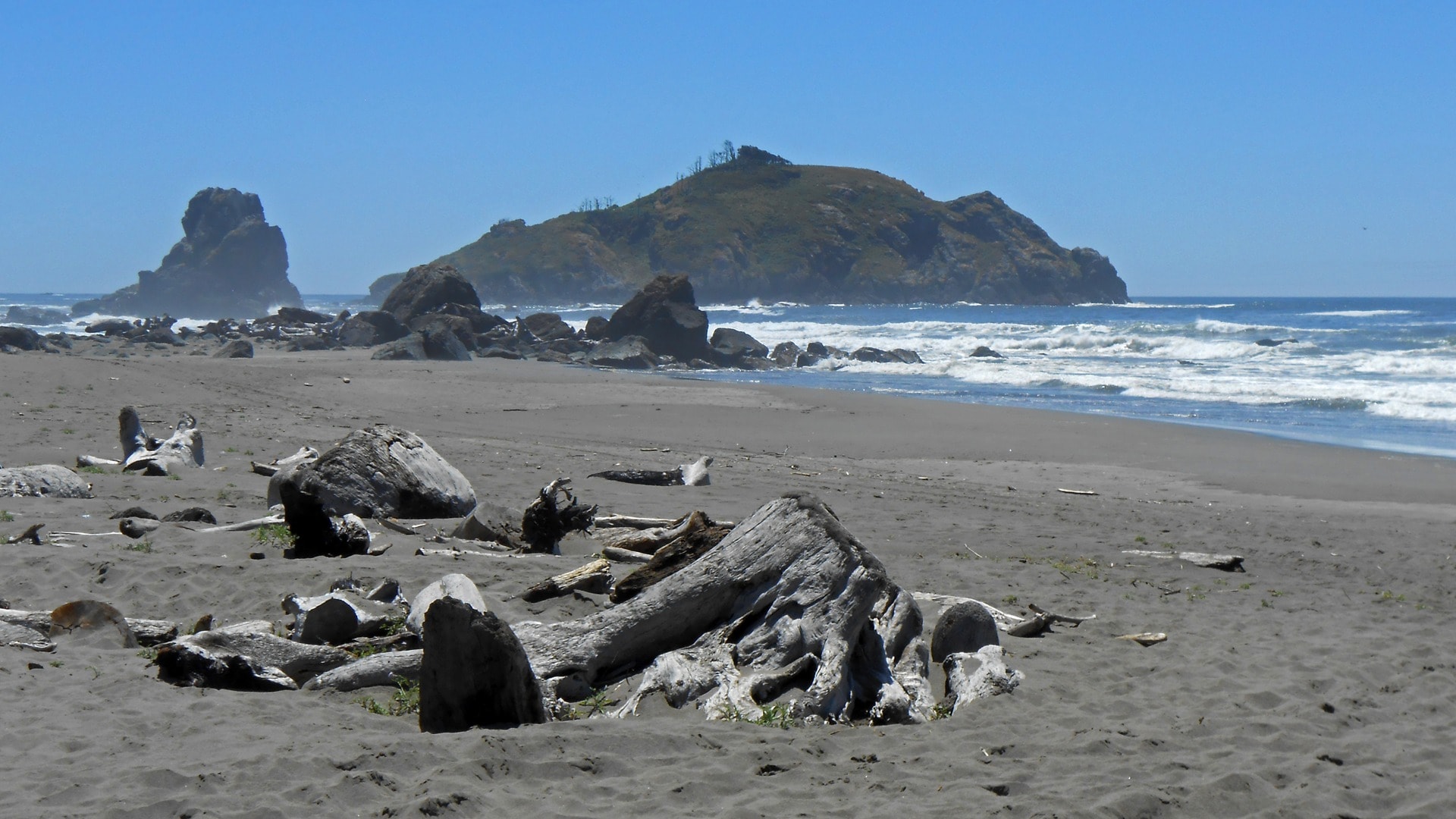 Driftwood on the beach with offshore island and sea stacks
