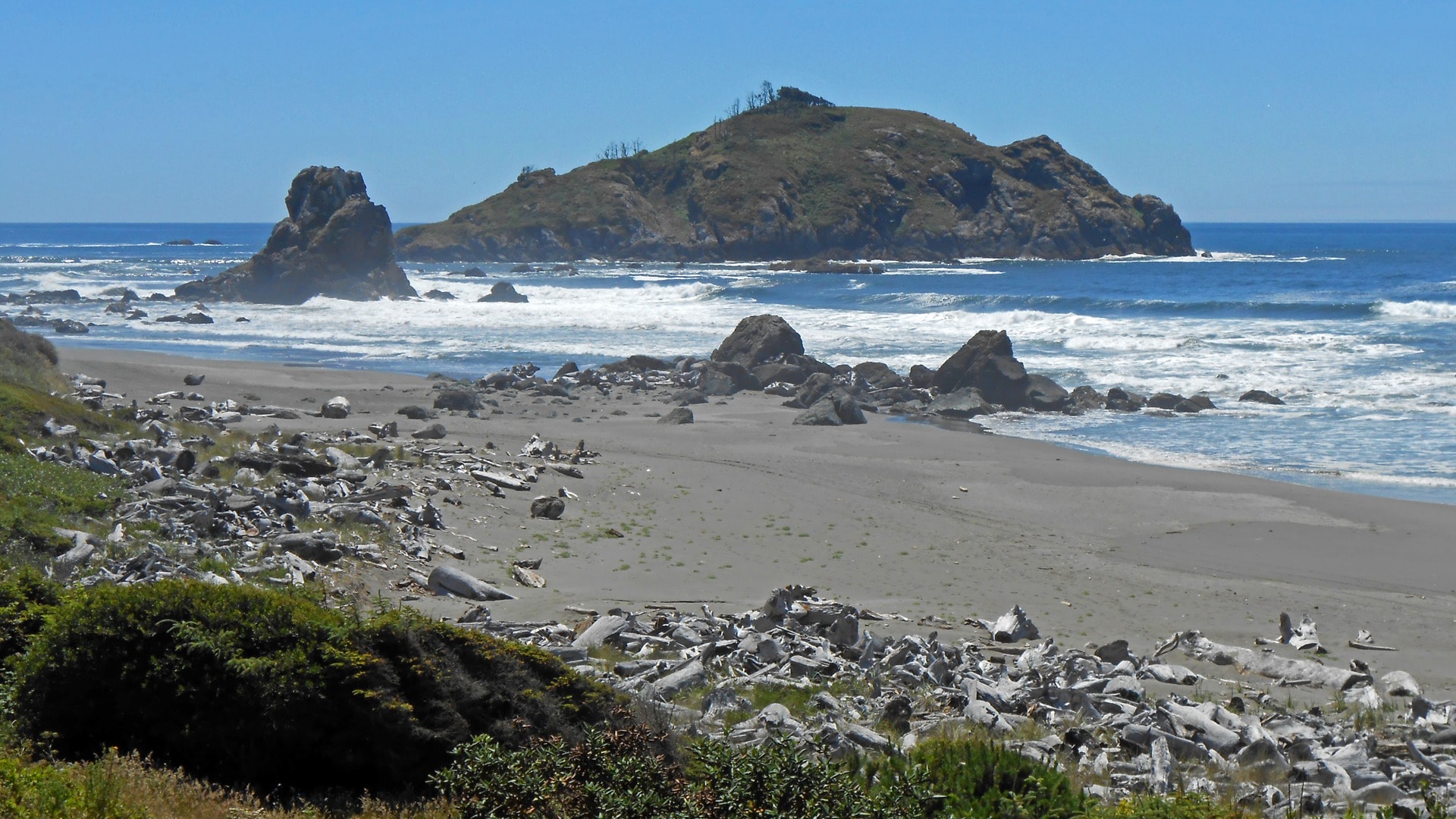 Wide beach with driftwood and rocky island in the distance